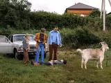 Превью кадра #264354 из сериала "Оливка, Игорек и Рекс"  (2026)