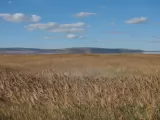 Превью кадра #264673 из фильма "Ветер"  (2025)