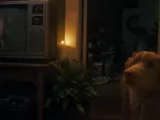 Превью кадра #265678 к фильму "Глазами пса" (2025)