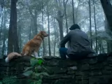 Превью кадра #265670 из фильма "Глазами пса"  (2025)
