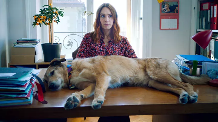 Кадр к фильму Собачье дело / Dog on Trial