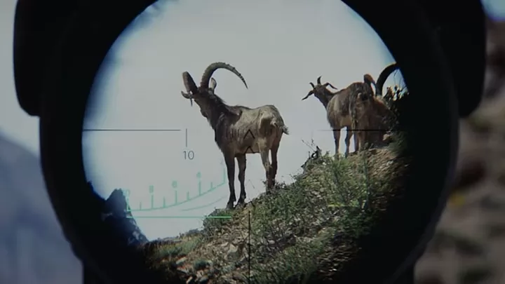 Кадр к фильму Пастбища богов