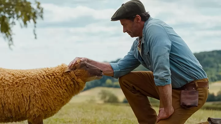 Кадр к фильму Овечьи детективы / The Sheep Detectives