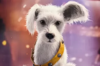 "Супергерл" установила рекорд в тестовых показах и разных финалах