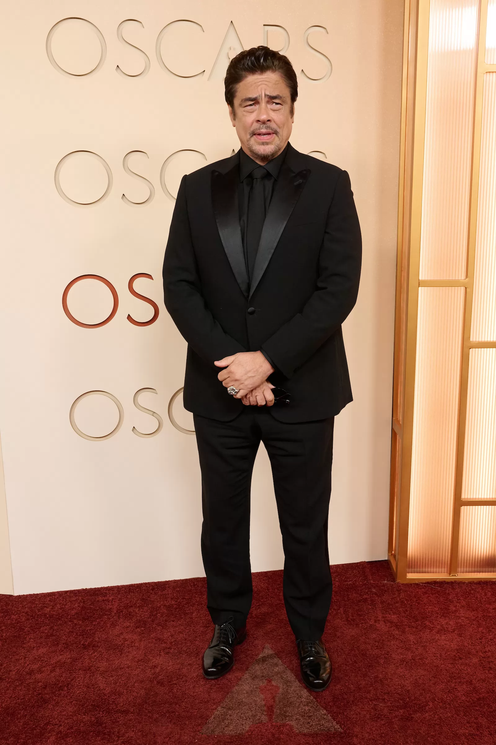 Бенисио Дель Торо