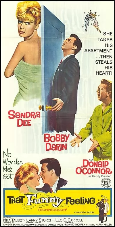 Это забавное чувство: постер N268989