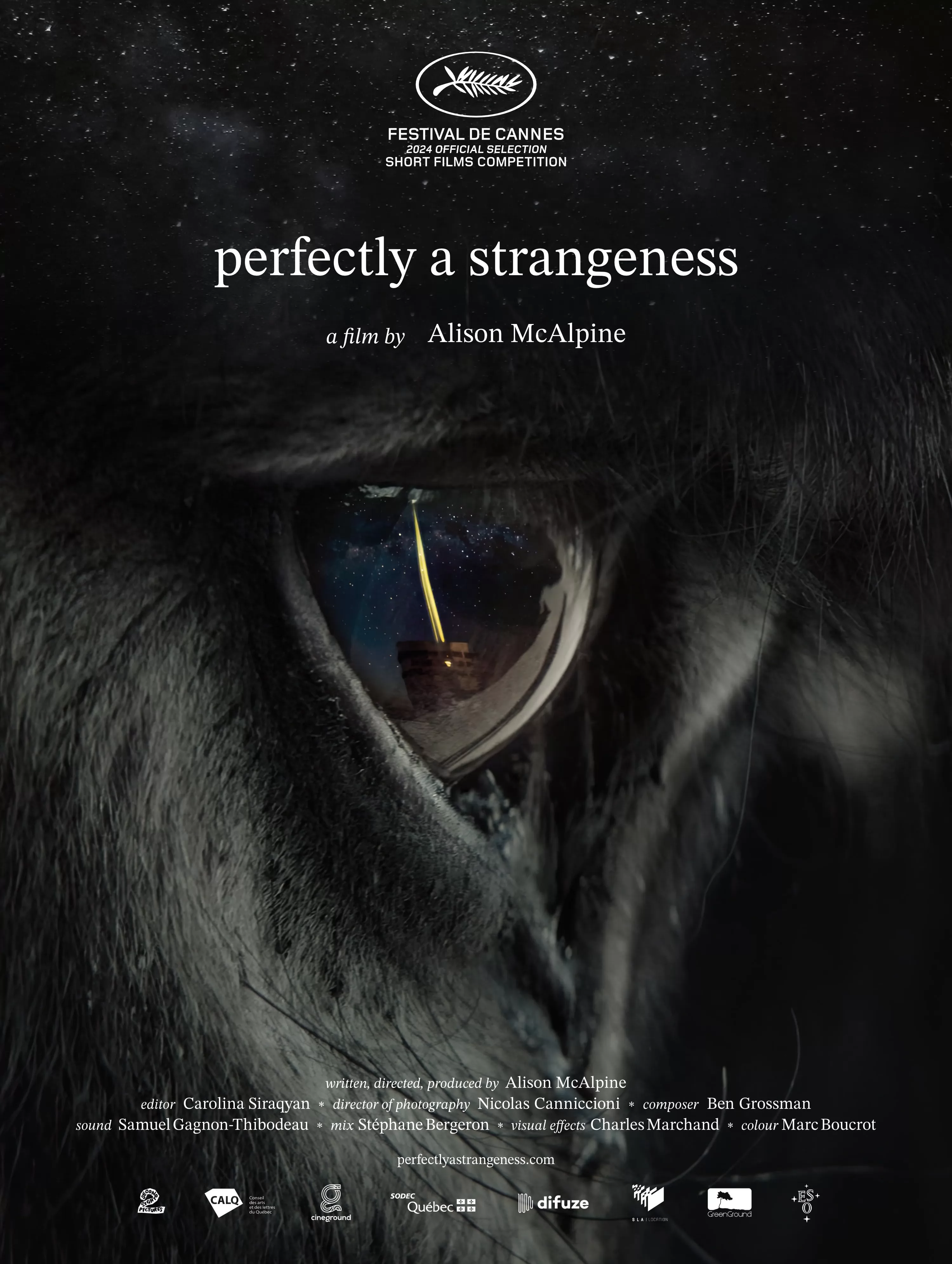 Совершенно странное явление / Perfectly a Strangeness (2024) отзывы. Рецензии. Новости кино. Актеры фильма Совершенно странное явление. Отзывы о фильме Совершенно странное явление