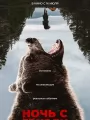 Ночь с гризли