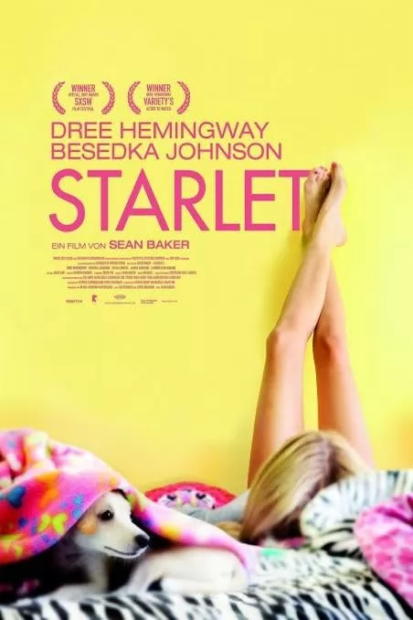 Старлетка / Starlet (2012) отзывы. Рецензии. Новости кино. Актеры фильма Старлетка. Отзывы о фильме Старлетка