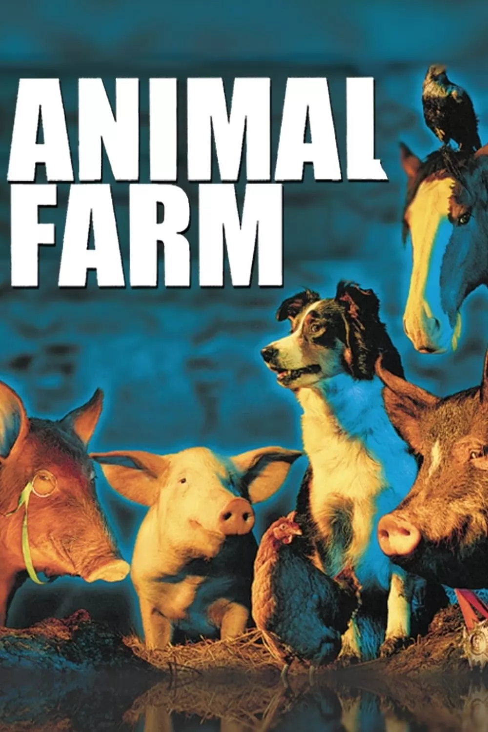 Скотный двор / Animal Farm (1999) отзывы. Рецензии. Новости кино. Актеры фильма Скотный двор. Отзывы о фильме Скотный двор