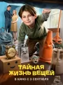 Постер к фильму "Тайная жизнь вещей"