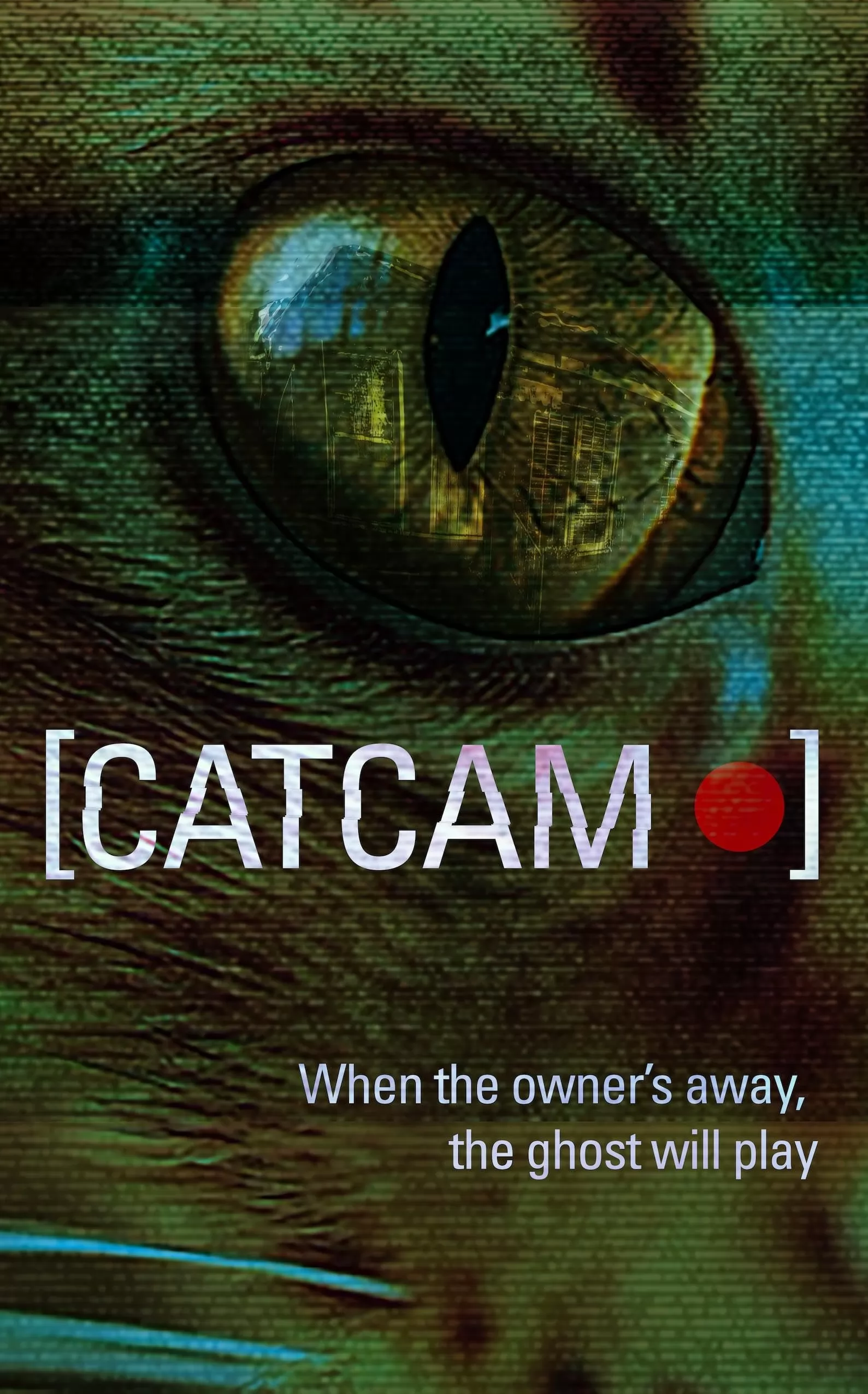 Кошачья камера: постер N276669