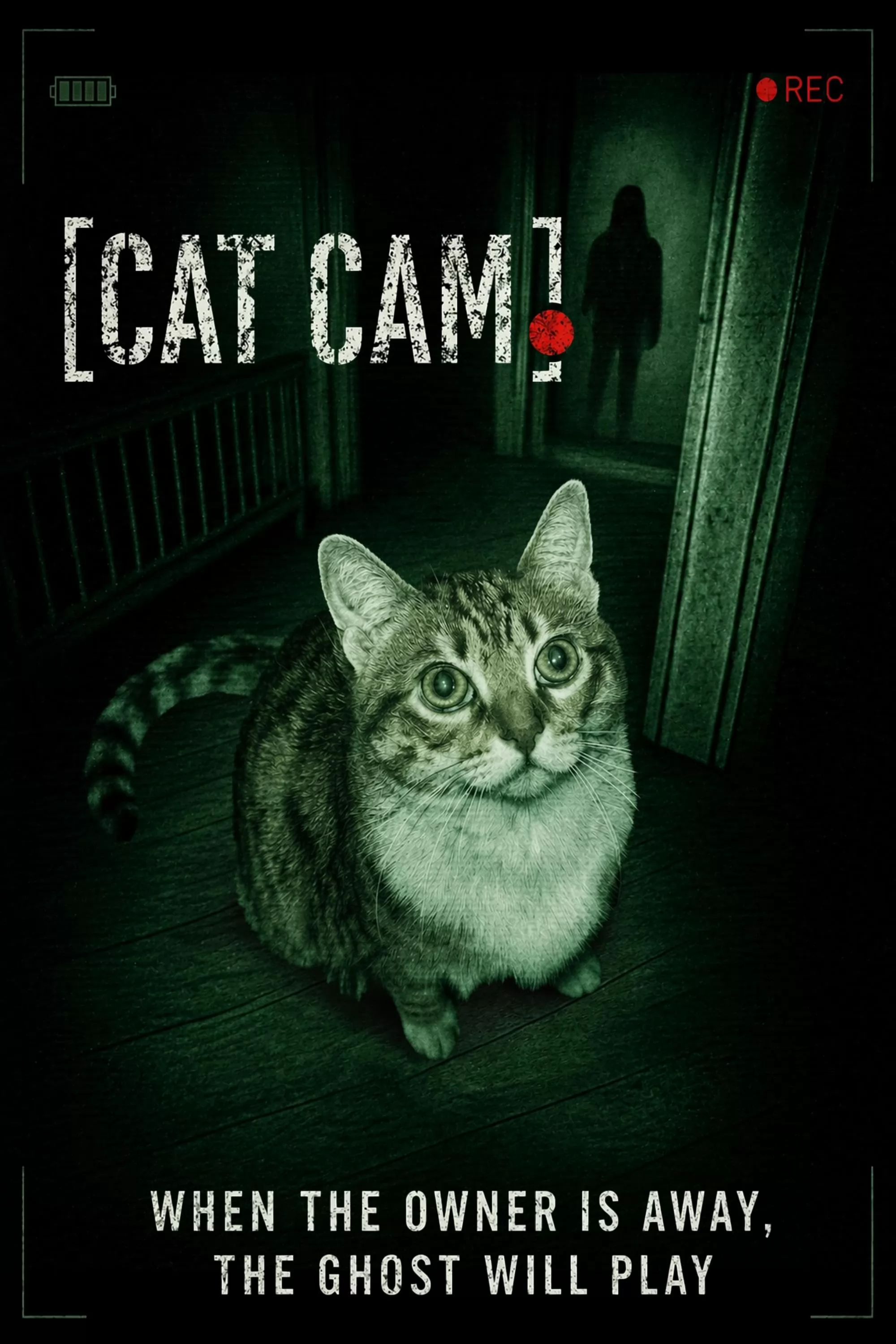 Кошачья камера / Cat Cam (2026) отзывы. Рецензии. Новости кино. Актеры фильма Кошачья камера. Отзывы о фильме Кошачья камера