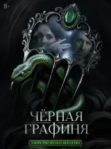Превью постера #270645 к фильму "Черная графиня" (2026)