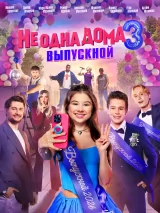 Не одна дома 3