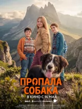 Превью постера #272363 к фильму "Пропала собака" (2025)