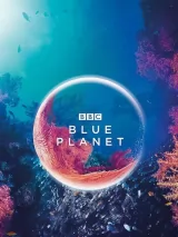 Превью постера #272925 к фильму "Голубая планета" (2001)