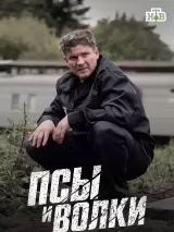 Псы и волки