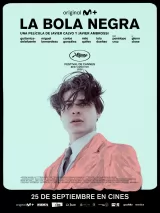 Превью постера #277836 к фильму "Черный шар" (2026)