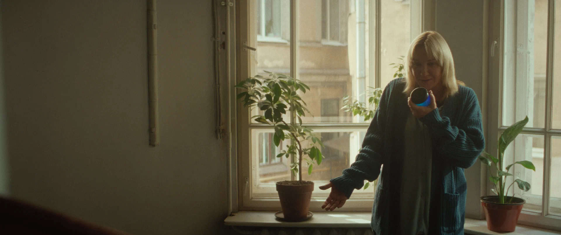 Фильм Тюльпаны (2026). Кадр N269184