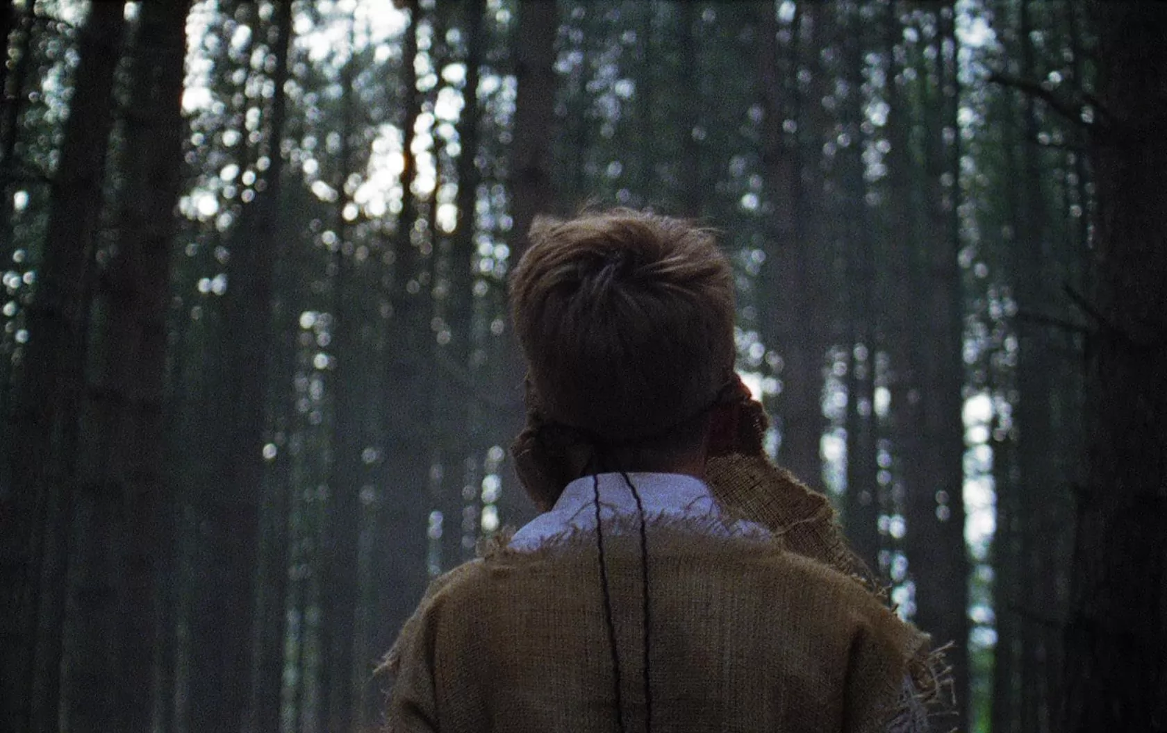 Фильм Ряженые (2017). Кадр N269741