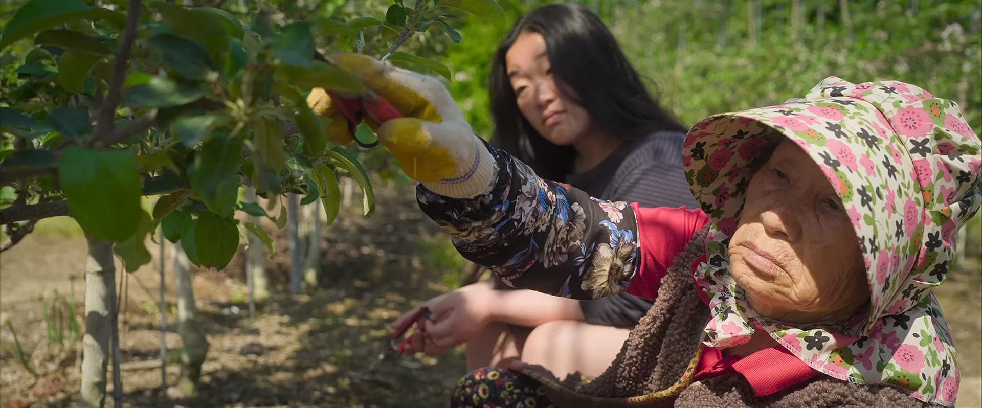 Фильм Добро пожаловать домой, Веснушка (2025). Кадр N269952