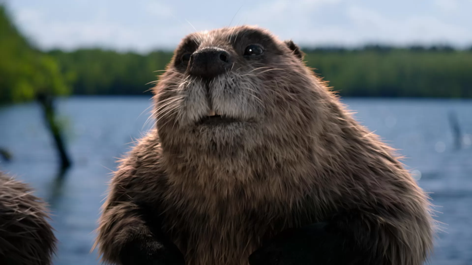 Сериал Не в своей тарелке (2026). Кадр N270010