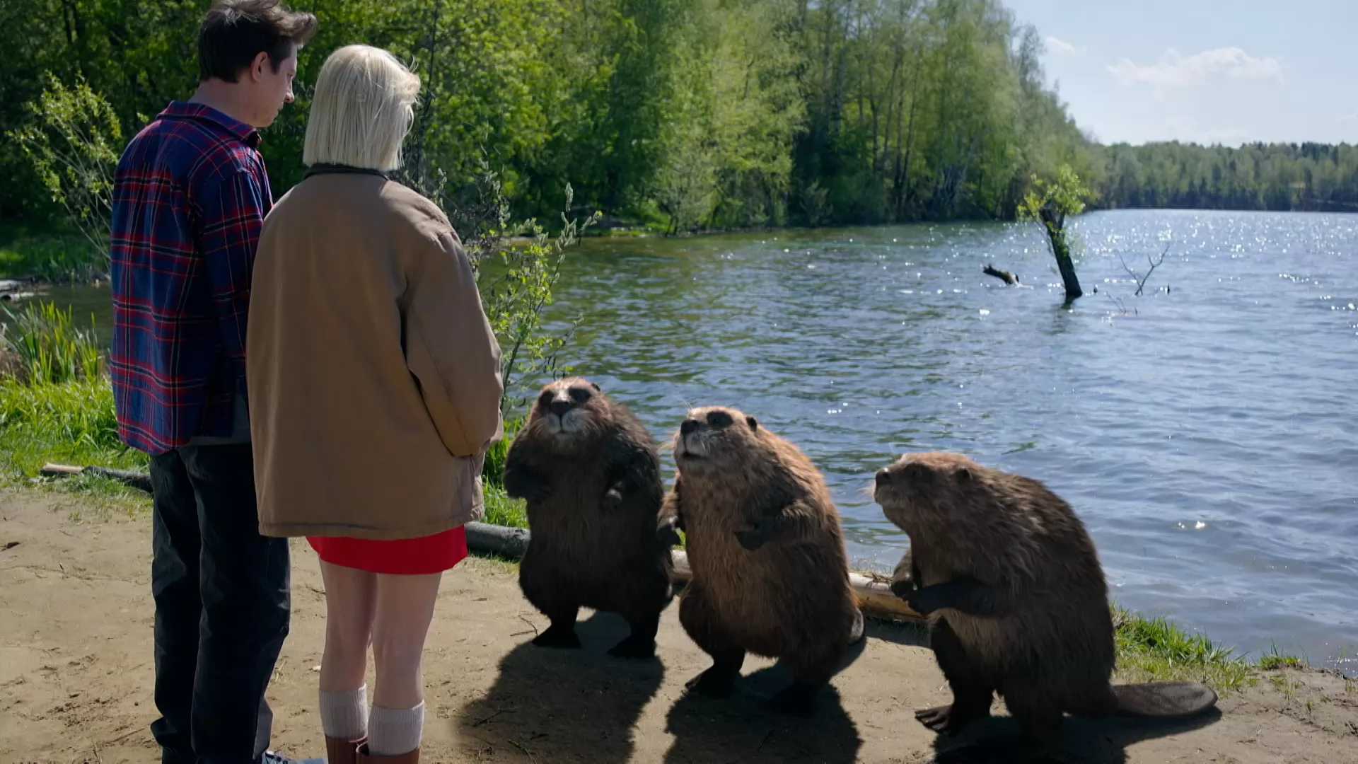 Сериал Не в своей тарелке (2026). Кадр N270011