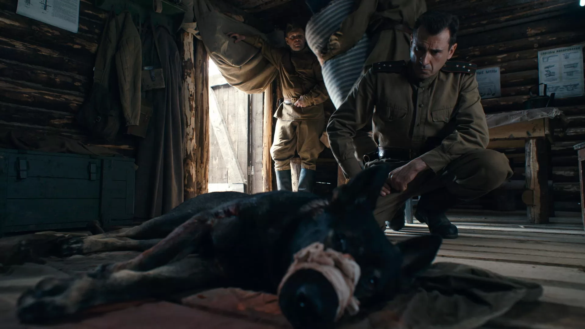 Сериал Солдат по кличке Рекс (2026). Кадр N270378