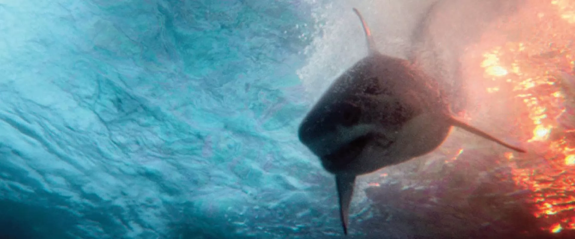 Фильм Глубокие воды (2026). Кадр N270917