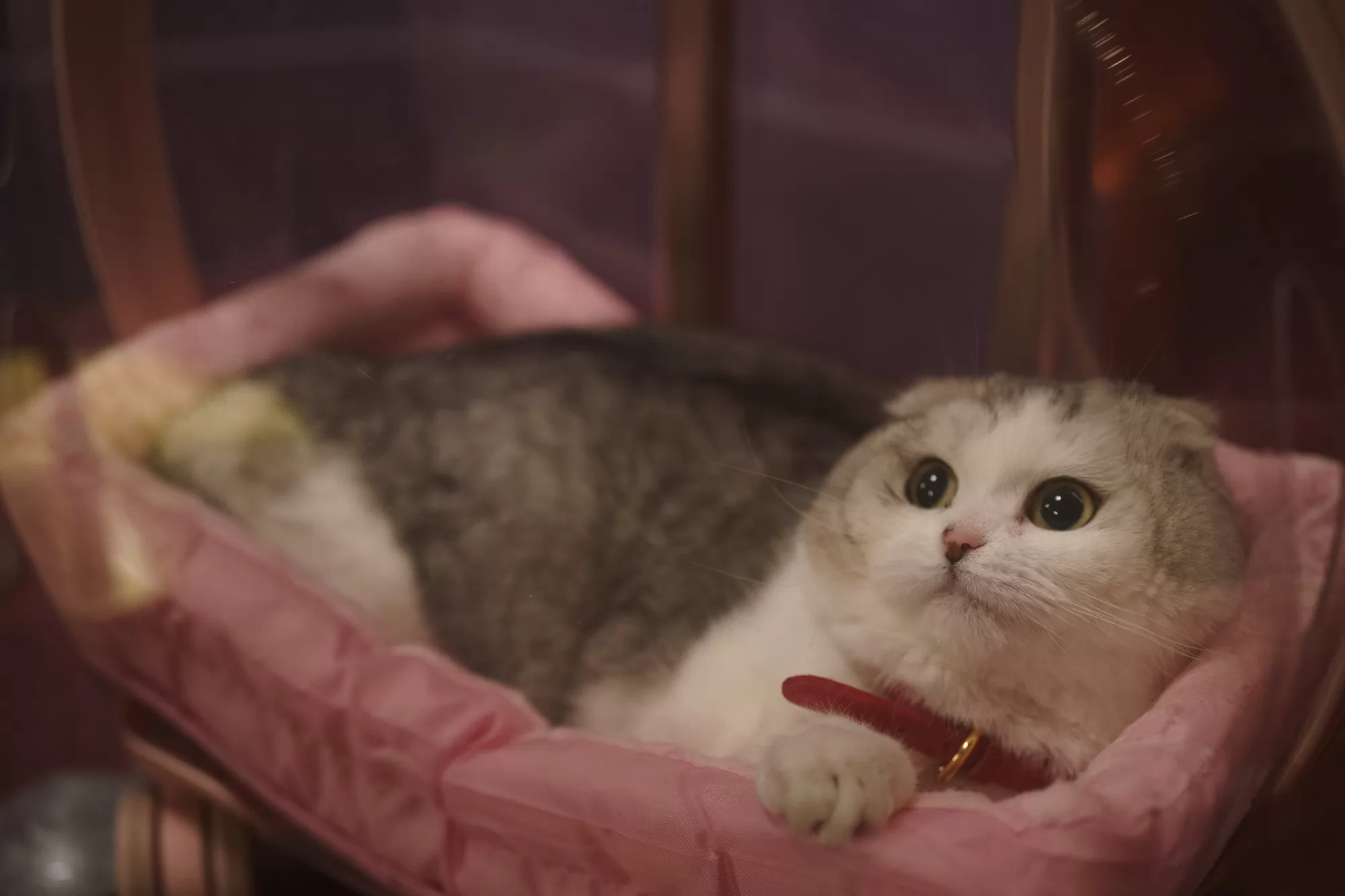 Фильм Запретный плод (2026). Кадр N271726