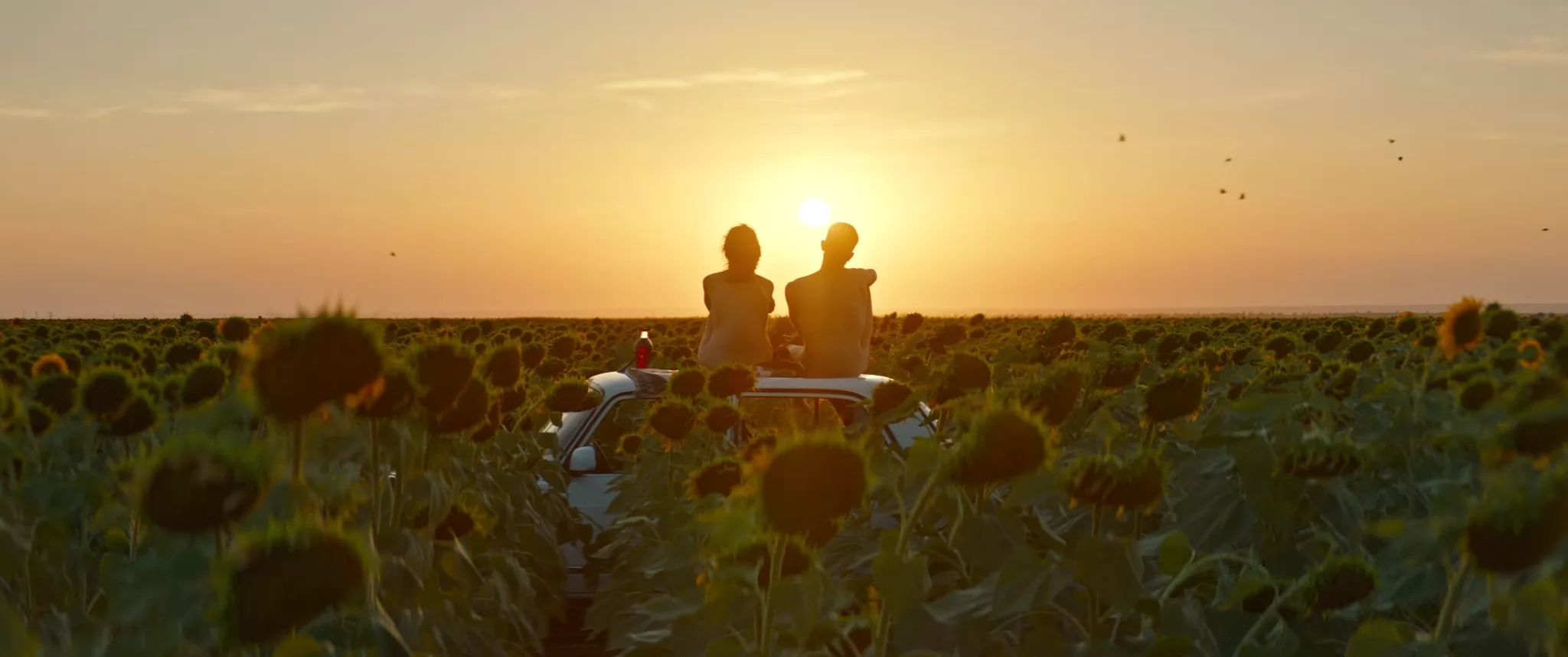 Фильм Кукла (2026). Кадр N271771