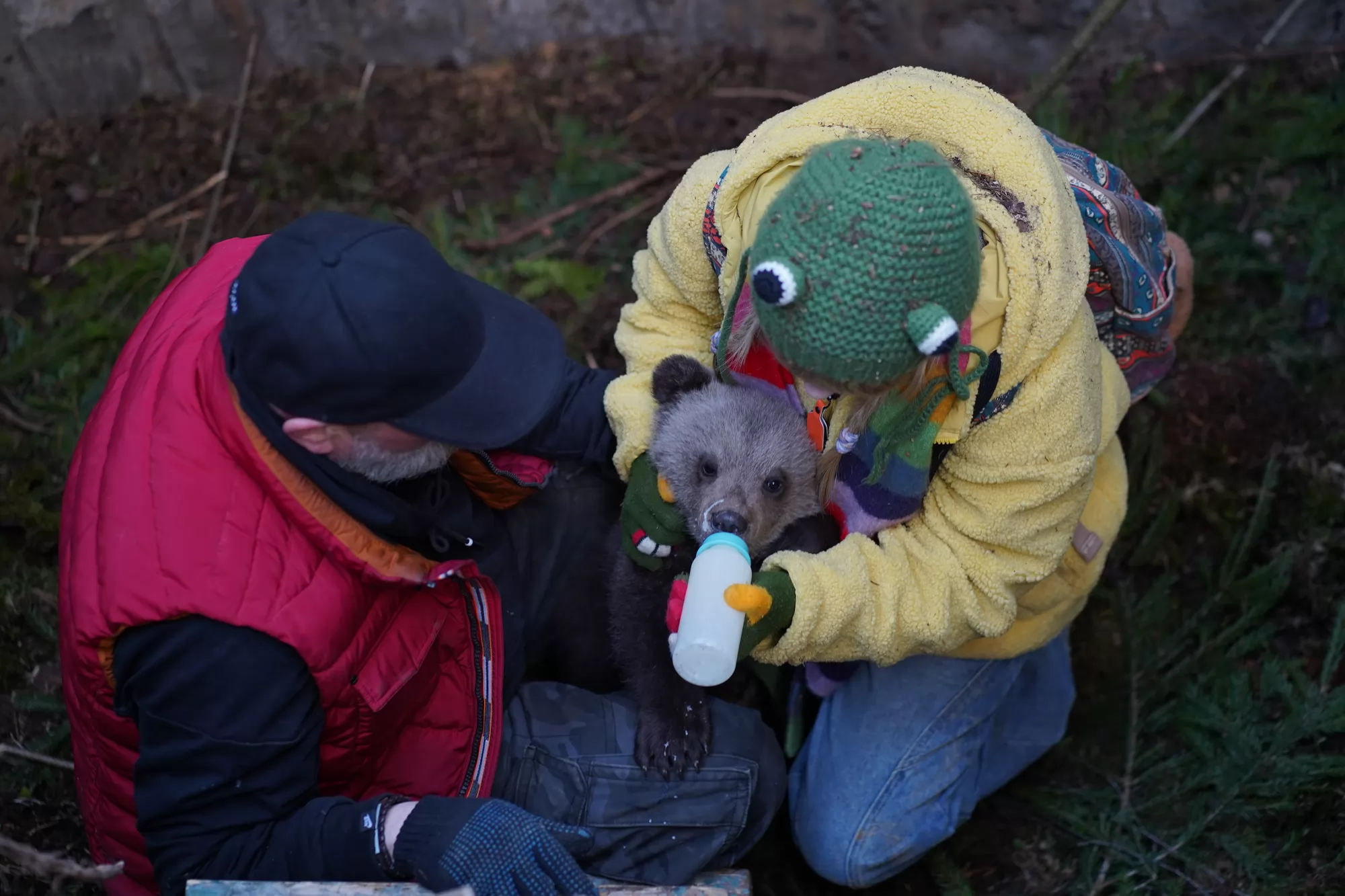 Фильм Мой папа - медведь 2 (2026). Кадр N272366