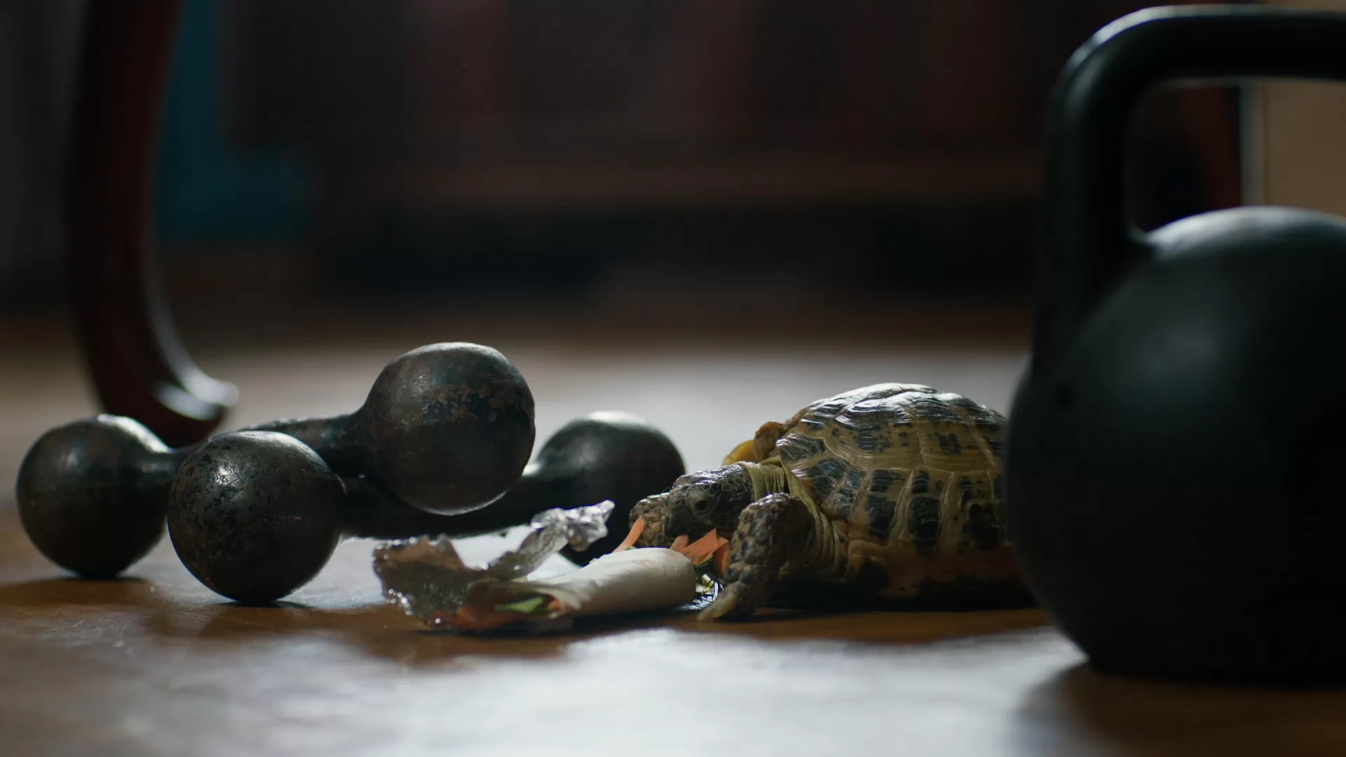 Сериал Кукушонок (2026). Кадр N273034