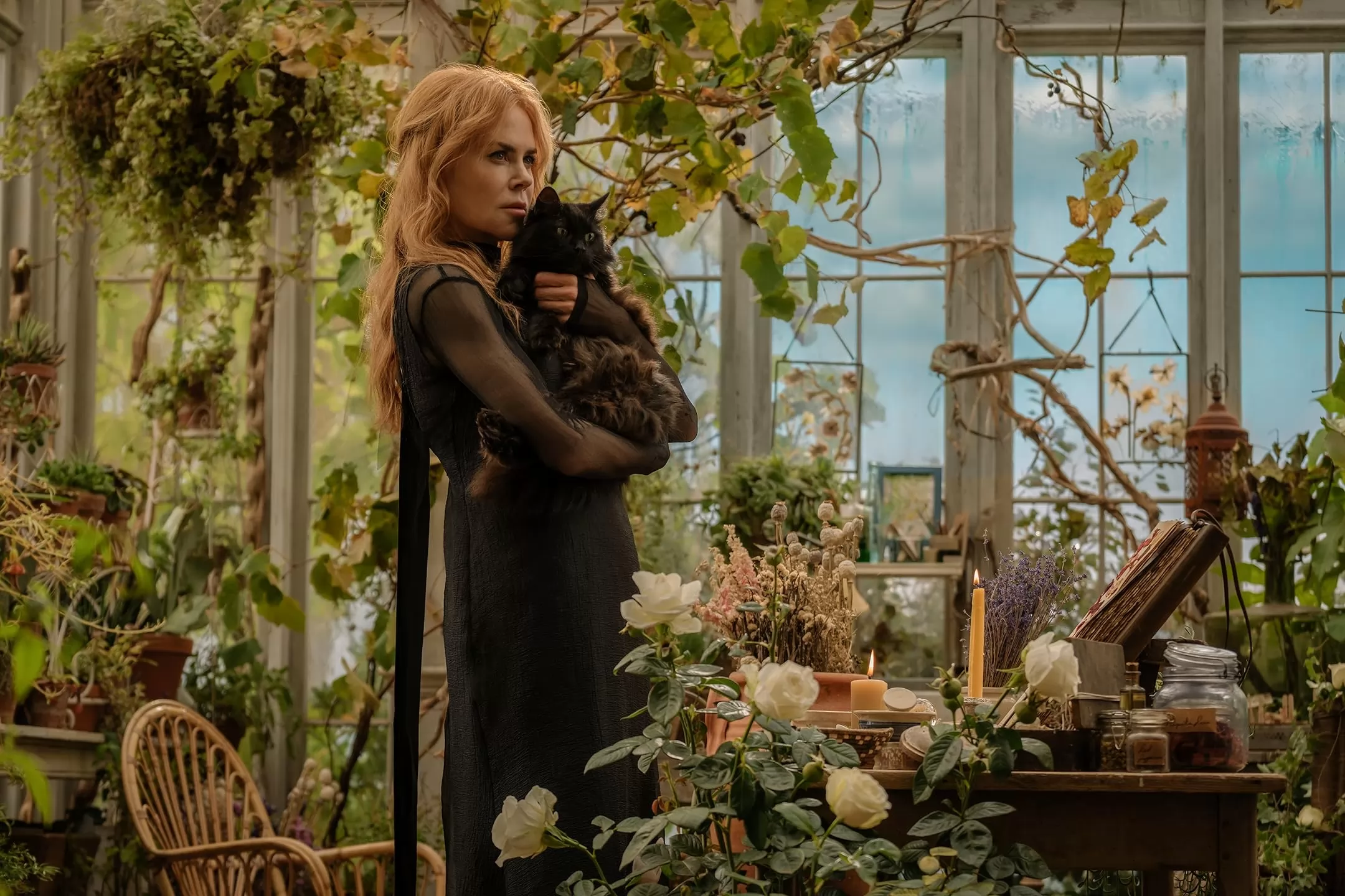 Фильм Практическая магия 2 (2026). Кадр N274834