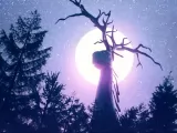 Превью кадра #273399 из мультфильма "Край чудес"  (2026)