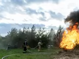 Превью кадра #274340 из сериала "Пять минут тишины. Леса и реки"  (2026)