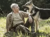 Превью кадра #274516 из сериала "Леший"  (2026)