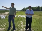 Превью кадра #274977 к фильму "Жуки. Новая жизнь" (2027)
