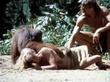 Превью кадра #275959 к фильму "Тарзан, человек-обезьяна" (1981)