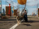 Превью кадра #278198 из фильма "Пальма 3"  (2027)