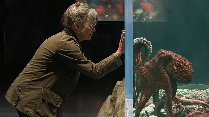 Салли Филд в тизере фильма Необычайно умные создания