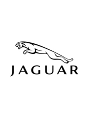 Jaguar размывает грань между рекламой и высоким киноискусством