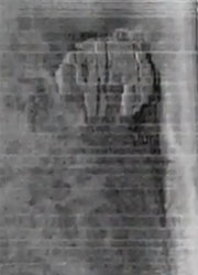 На дне Балтийского моря обнаружен Тысячелетний сокол