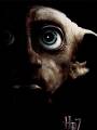 Постер к фильму "Гарри Поттер и Дары смерти: Часть 1"