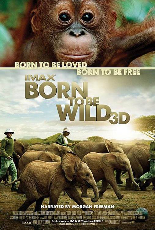 Рожденные на воле 3D / Born to Be Wild (2011) отзывы. Рецензии. Новости кино. Актеры фильма Рожденные на воле 3D. Отзывы о фильме Рожденные на воле 3D