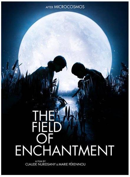 Сфера колдовства / The Field of Enchantment (2011) отзывы. Рецензии. Новости кино. Актеры фильма Сфера колдовства. Отзывы о фильме Сфера колдовства