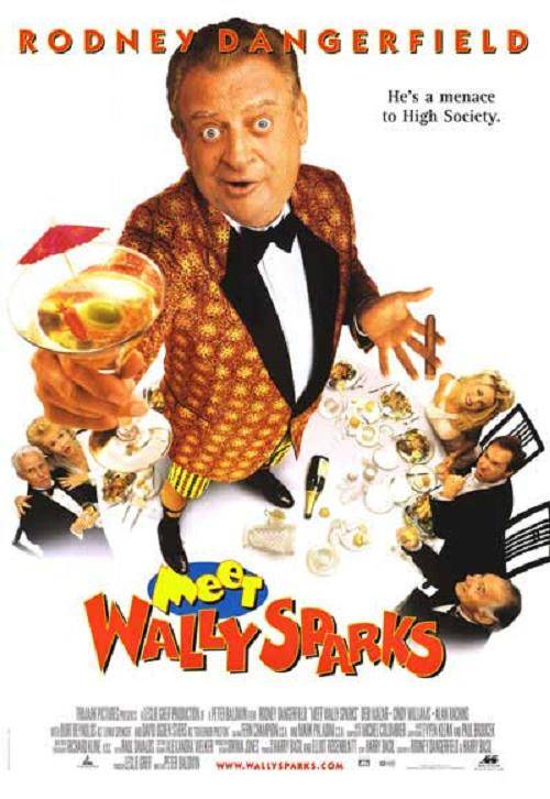 Познакомьтесь с Уолли Спарксом / Meet Wally Sparks (1997) отзывы. Рецензии. Новости кино. Актеры фильма Познакомьтесь с Уолли Спарксом. Отзывы о фильме Познакомьтесь с Уолли Спарксом