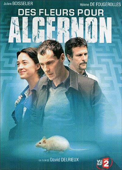 Цветы для Алджернона / Des fleurs pour Algernon (2006) отзывы. Рецензии. Новости кино. Актеры фильма Цветы для Алджернона. Отзывы о фильме Цветы для Алджернона