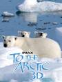 Постер к документальному фильму "Арктика 3D"